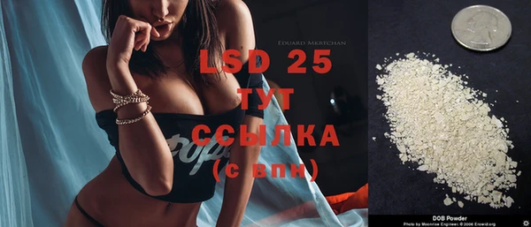 мяу мяу мука Усмань